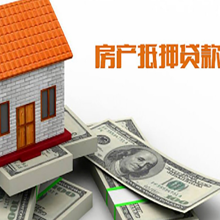 毛道乡贷款公司新渝启服怎么选择